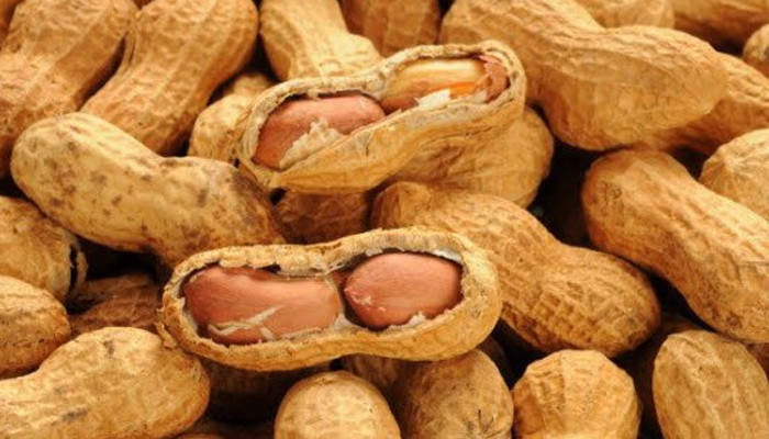Menambahkan kacang ke dalam makanan anak kecil dapat membantu menghindari alergi: pelajari