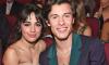 Shawn Mendes called 'wildcat' by ex Camila Cabello for new video