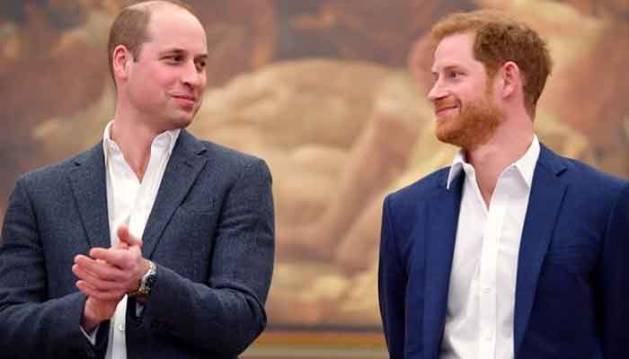 Prince William and Prince Harrys polo tutor dies