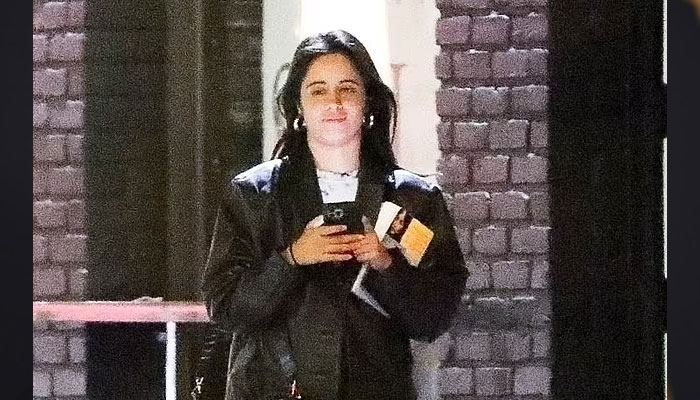 Camila Cabello hits adult store after calling ex Shawn Mendes wildcat
