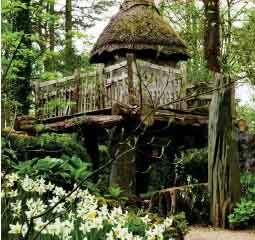 Prince Georges treehouse