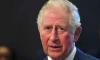 Prince Charles' charity builds playpark inspired by his grandson's treehouse 