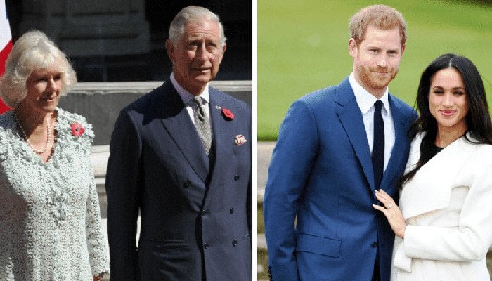 Prince Charles worries Prince Harrys memoir could destroy Camilla