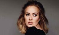'Adele's stage-managed apology doesn’t seem believable': blasts Janet Street-Porter 