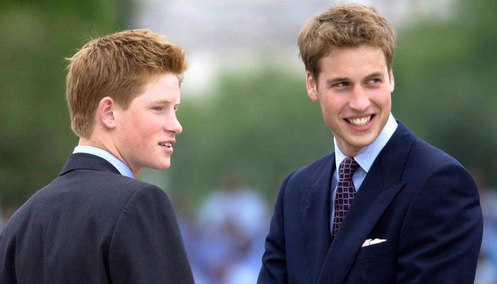 Prince Harry surprising reaction when Prince William did not want to be king