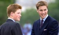 Prince Harry Surprising Reaction When Prince William 'did Not Want To Be King'