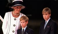 Prince William Had Career In His Mind Linked To Princess Diana