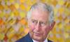 Prince Charles advertises for digital communication manager