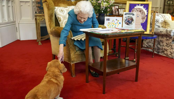 Queen Elizabeth II was interrupted by a canine gate-crasher as she viewed mementoes from her 70-year reign