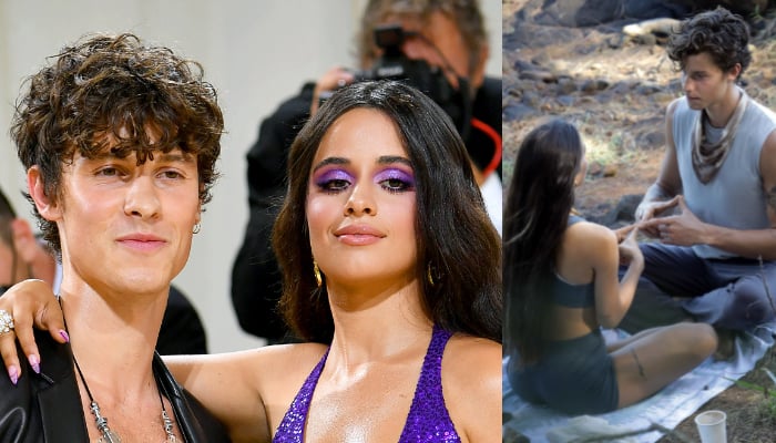 Shawn Mendes spotted with another woman months after Camila Cabello ...