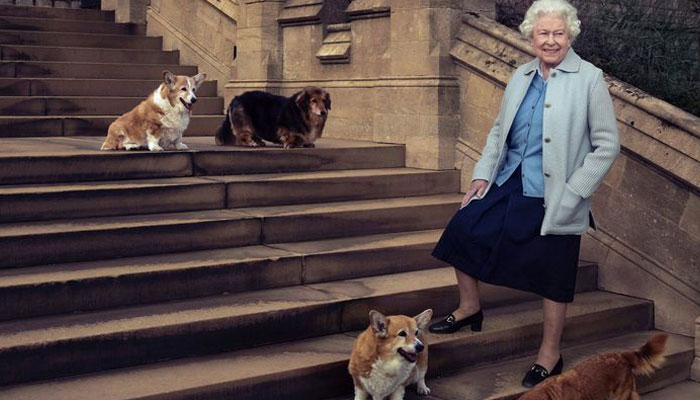 Queen turns perfumer with special fragrance ‘only for dogs’: ‘Smells of Coastal Walks’