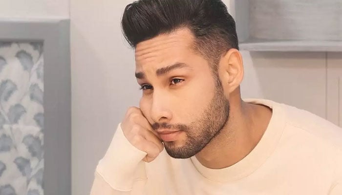 Siddhant Chaturvedi opened up about how he once waited ‘all day’ for a fake ‘Josh 2’ audition