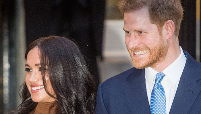 Meghan Markle, Prince Harry going ‘against the world’: report