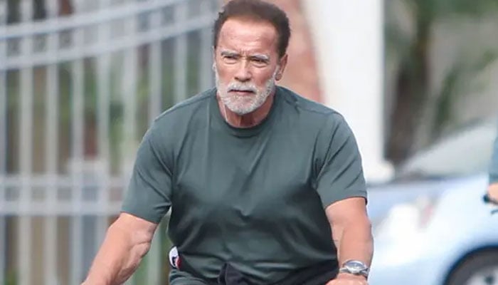 Arnold Schwarzenegger appeals to Putin to end ‘senseless’ war in Ukraine
