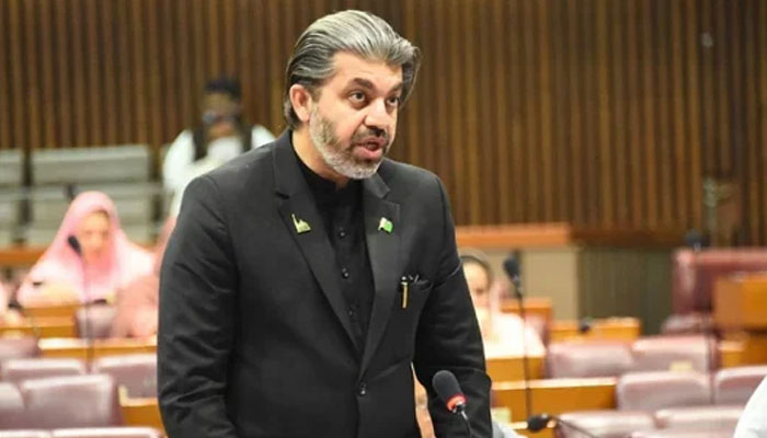 Minister of State for Parliamentary Affairs Ali Muhammad Khan. — Twitter/NA of Pakistan