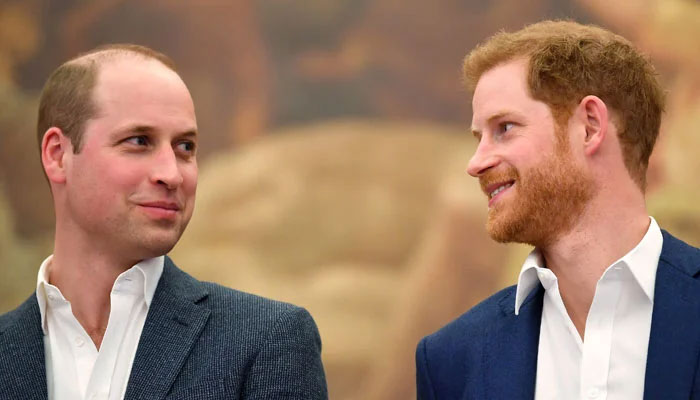 Prince William and Harry's love for each other will never end