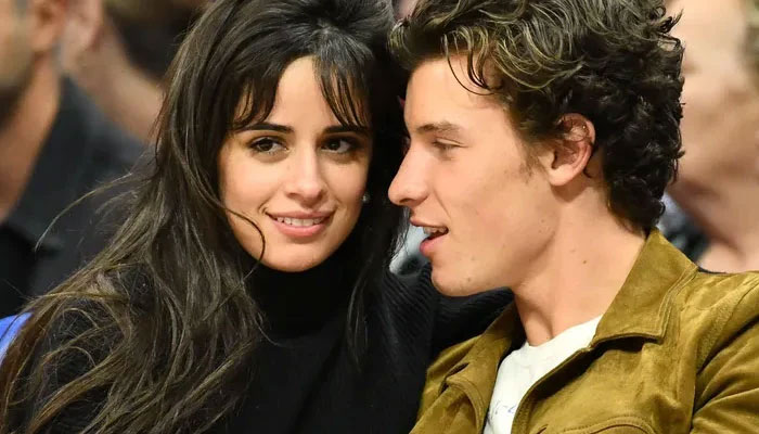 Shawn Mendes working through breakup with Camila Cabello with new single ‘When You’re Gone’