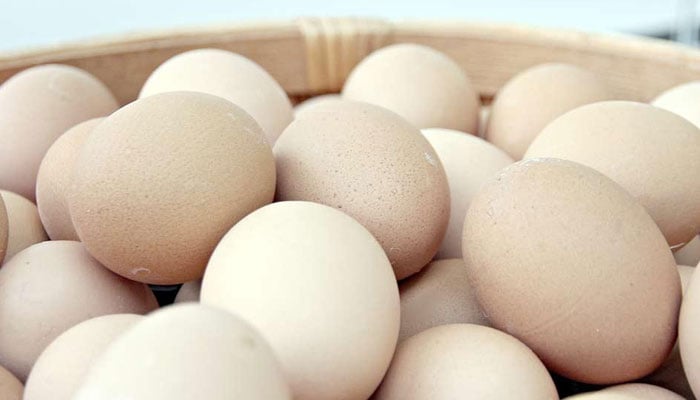 You need to avoid eating raw or undercooked food like eggs to stay clear of salmonella. The News/file