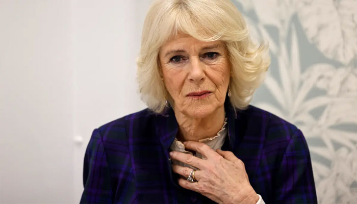 Prince Harry ‘unnerved’ Camilla with ‘smoldering’ stares