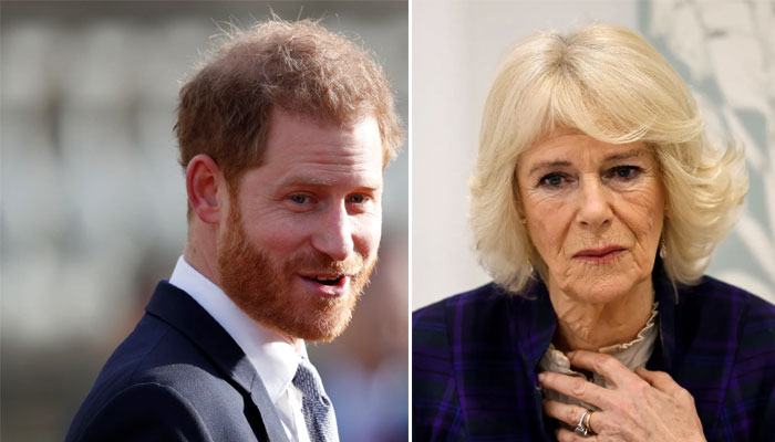 Prince Harry planning ‘potshots’ against Camilla in tell-all memoir