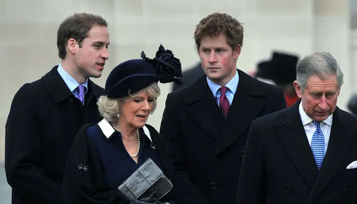 Prince Charles accused of ‘using’ Prince William, Harry in bid to make Camilla ‘more acceptable’