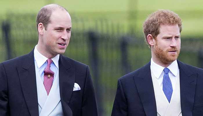 Prince Harry rift is an open wound for Prince William