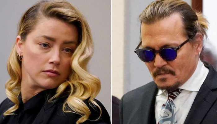 Johnny Depp called Amber Heard Christmas goose in text messages to doctor