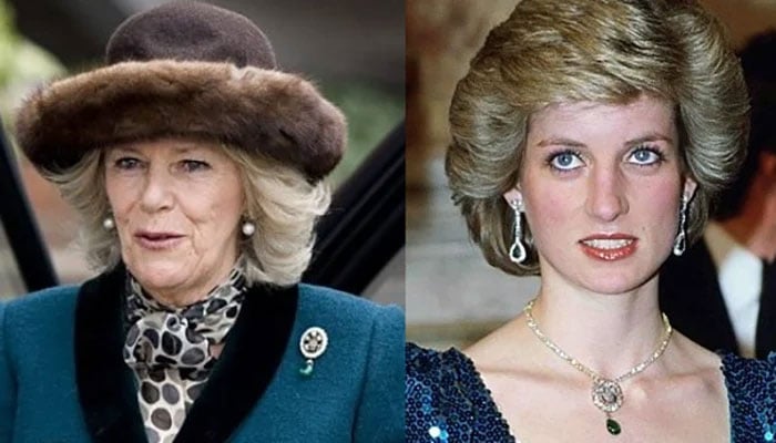Camilla understood Princess Dianas pain after marrying Prince Charles