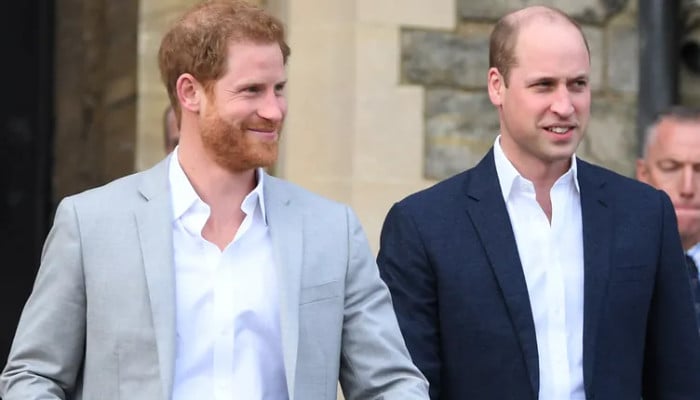 Принц Гарри хочет, чтобы «посредник» спас «сложные» отношения с принцем Уильямом