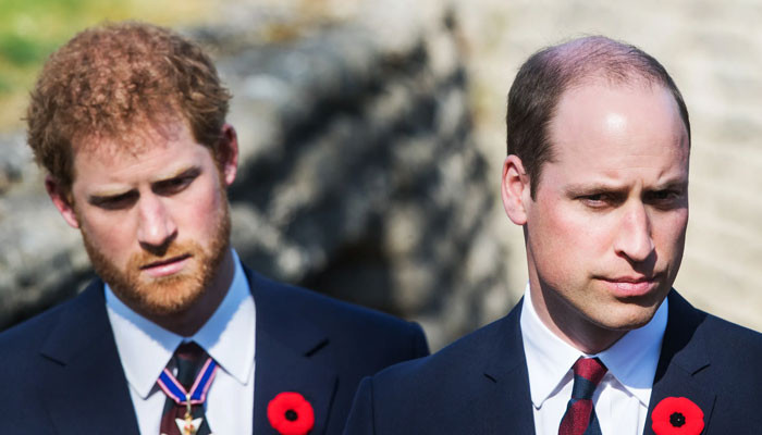 Los ‘celos’ del príncipe Harry por el príncipe William se originaron mucho antes que Meghan Markle