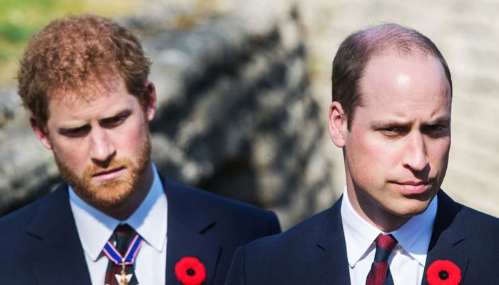 Photo of La jalousie du prince Harry envers le prince William est née bien avant Meghan Markle