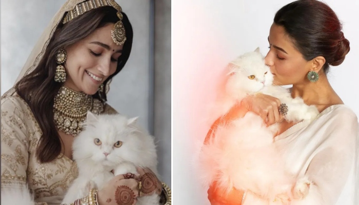 Alia Bhatt drops new stunning pics from her wedding day with ‘cat of honour’