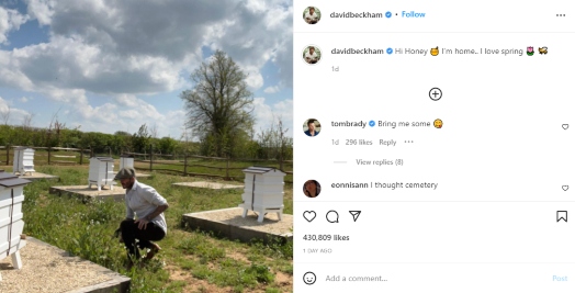 David Beckham resumes country life, spends time at his bee farm in UK