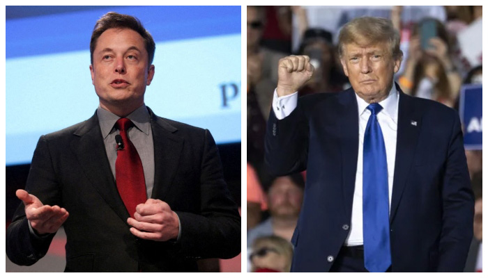 Tesla owner Elon Musk and former US president Donald Trump