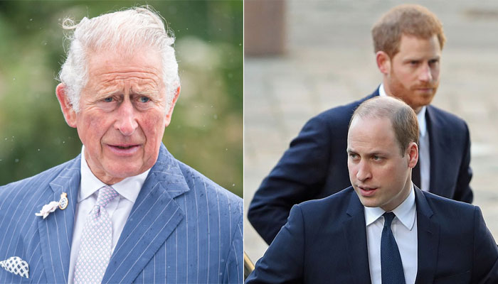 Prince Charles finds William, Harry’s mood swings ‘unpredictable like Diana’