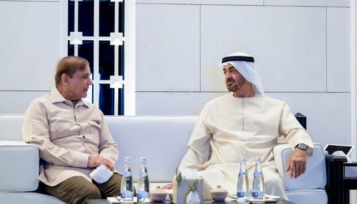 Prime Minister Shehbaz Sharif meets UAE Crown Prince Sheikh Mohamed bin Zayed Al Nahyan— Radio Pakistan