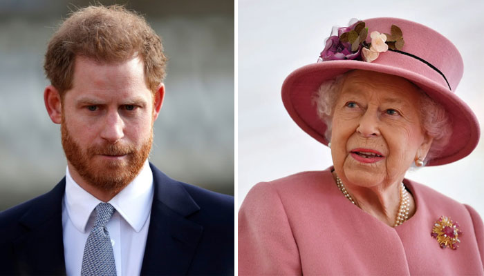 Queen ‘the one needing protection’ from Prince Harry: ‘Keeps hurling hand grenades’