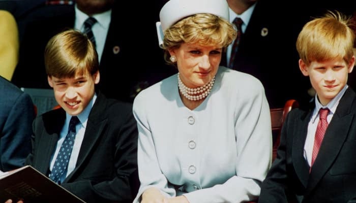 Princess Diana protected young Prince Harry from damaging nickname