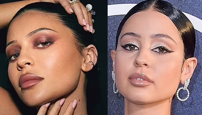 Kylie Jenners fans think she resembles Euphoria star Alexa Demie in new stunning photo