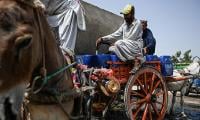 South Asia pummelled by heatwave that hits 50C in Pakistan