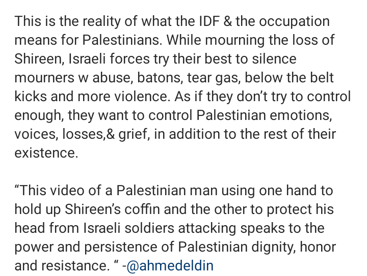 Bella Hadid reacts to Israeli brutalities