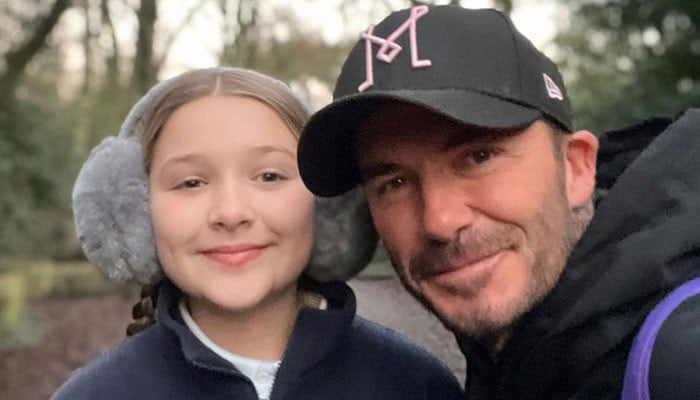 David Beckham fan claims on daughter Harper, says footballer stole her eggs