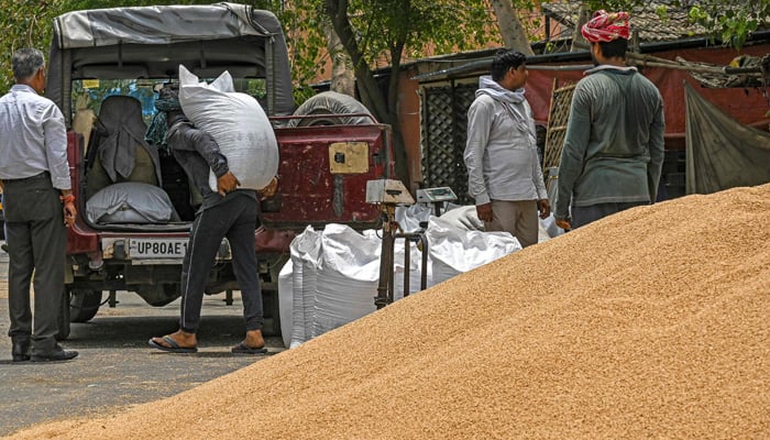 A labourer prepares to load a sack of wheat in a customer´s vehicle at a wholesale grain market in Ghaziabad on May 17, 2022. India´s wheat production has been hit by searing temperatures -- the country recorded its warmest March on record -- prompting the government to predict output would fall at least 5% this year from 109 million tonnes in 2021. -AFP