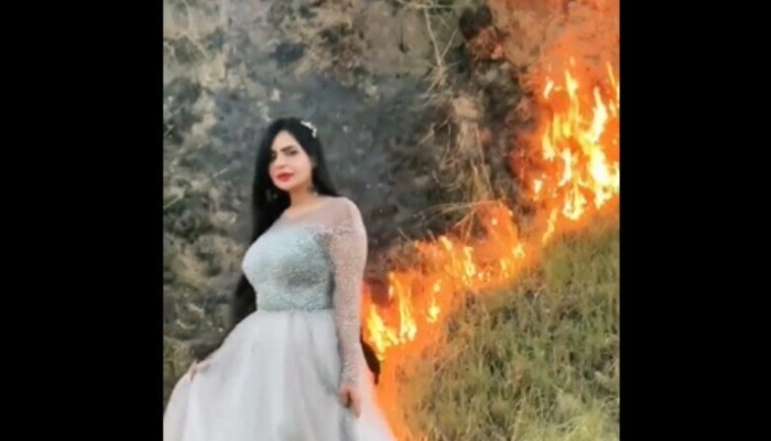 TikTok star Dolly faces backlash over forest fire video