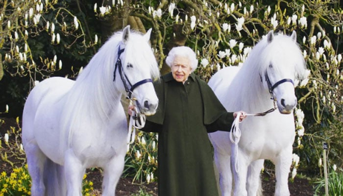 Queen’s corgi dogs, horses and swans to take centre stage in Jubilee parade