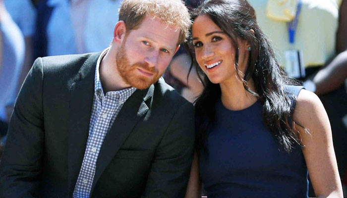 Meghan Markle and Prince Harry will be 'distraction', full of 'acting'