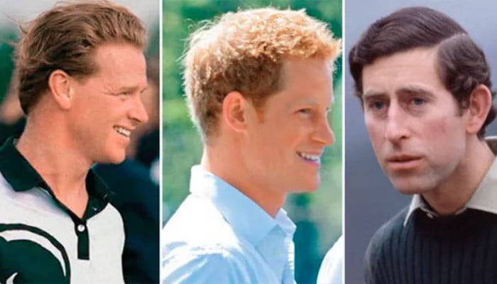 Prince Harry's paternity scandal debunked by experts: 'He is Charles' son!'