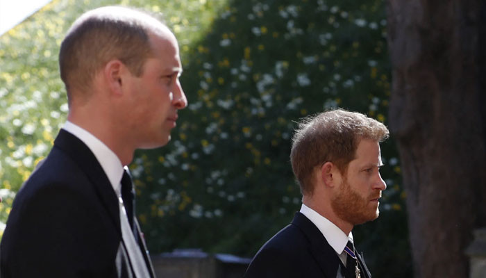 Prince William, Harry's former bodyguard offered 'grave warning' to replacement