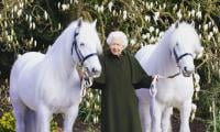 Queen’s Corgi Dogs, Horses And Swans To Take Centre Stage In Jubilee Parade