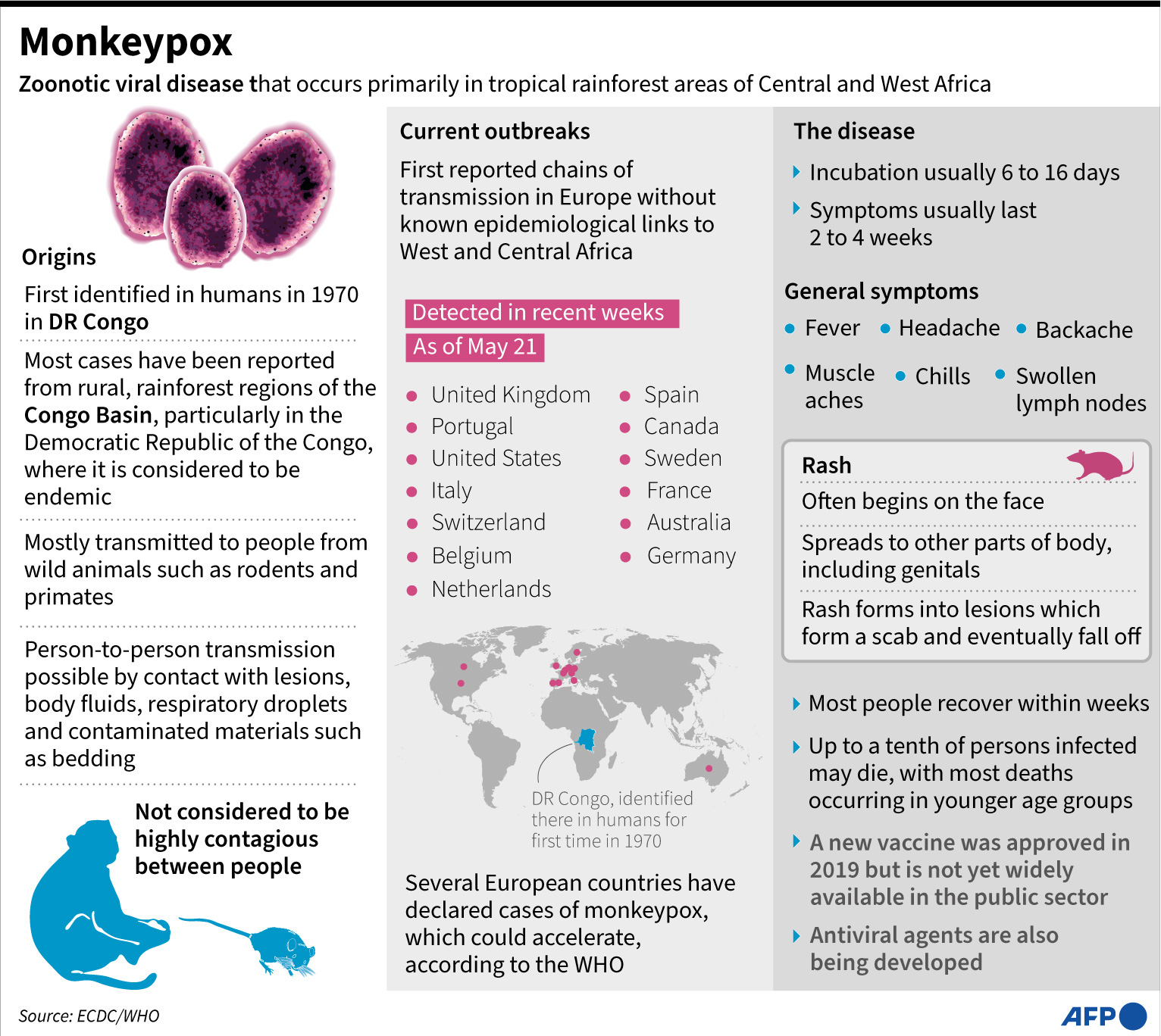 The virus is transmitted to humans from animals, with symptoms very similar to smallpox but less severe. -AFP